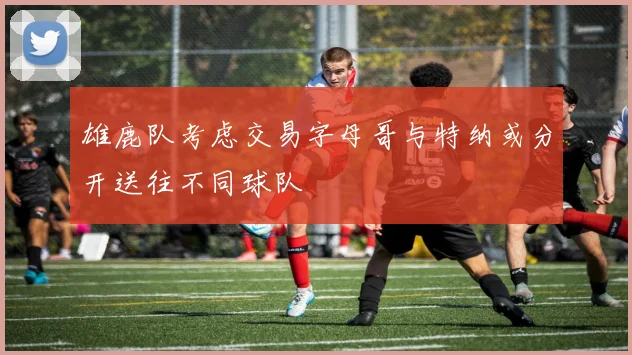 雄鹿队考虑交易字母哥与特纳或分开送往不同球队